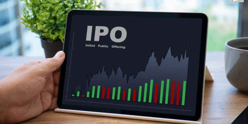 IPO Investing in India When to Cash in and When to Hold Tight